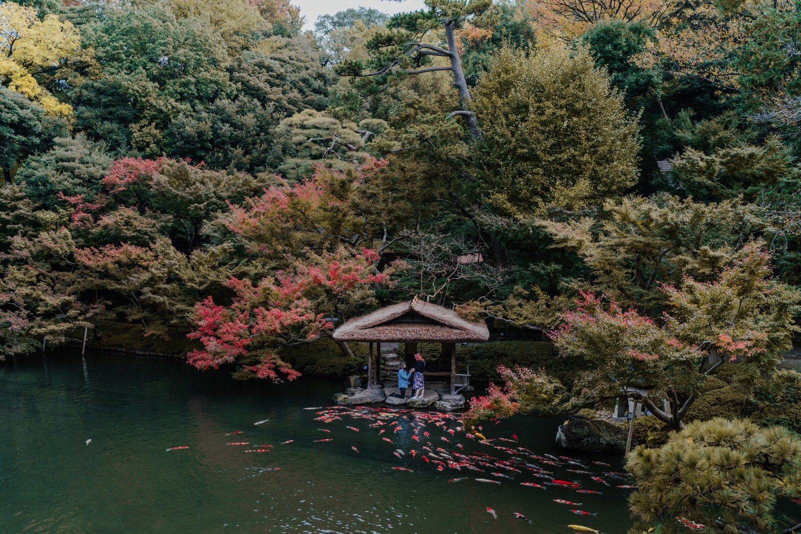 Photo My Tokyo Japan Hire Photographer Autumn Proposal.jpg