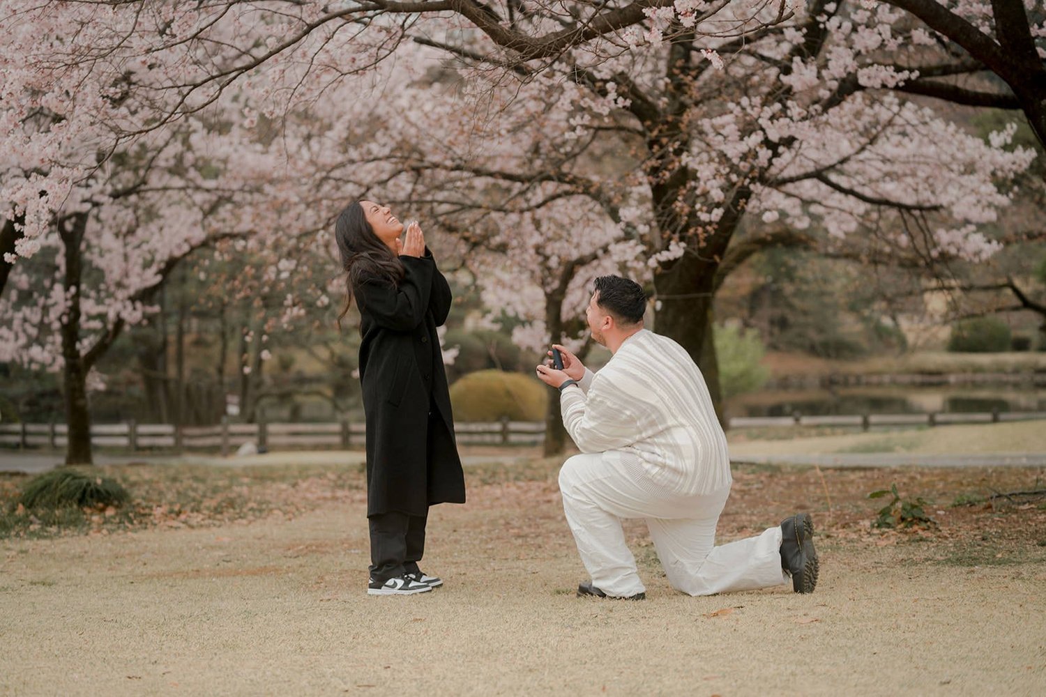 Tokyo proposal photoshoot with cherry blossoms