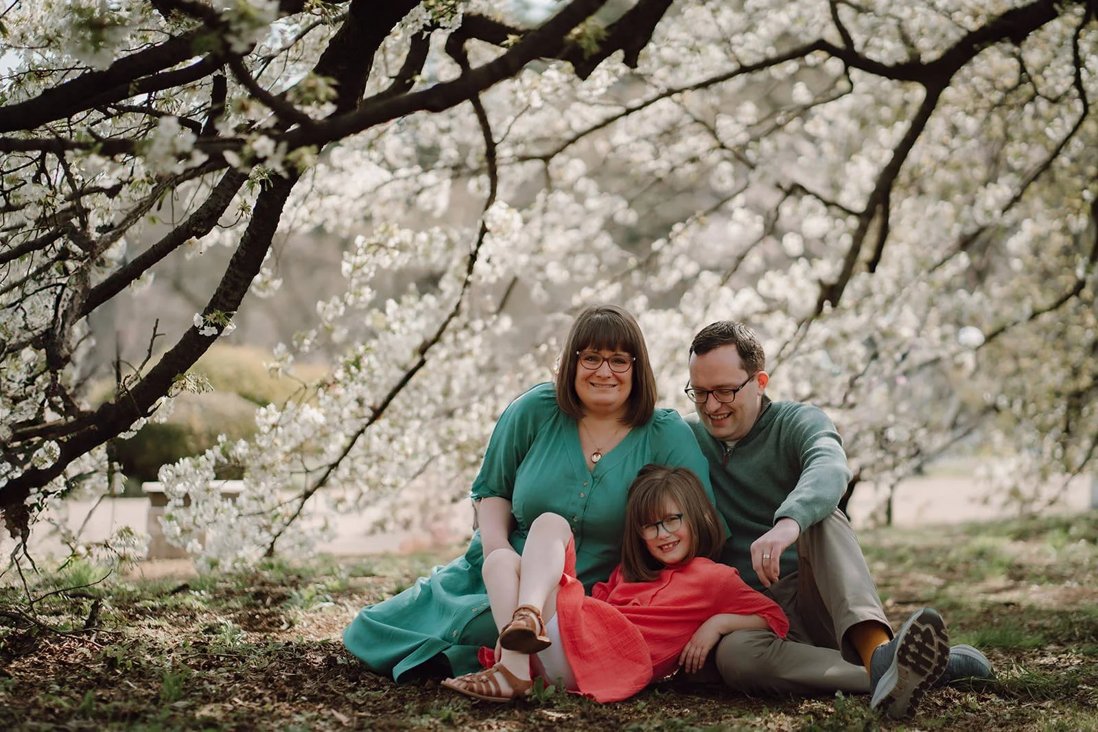 Family photoshoot cherry blossom Tokyo