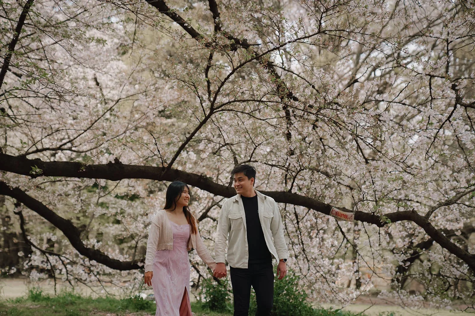 Couple photoshoot cherry blossom Tokyo