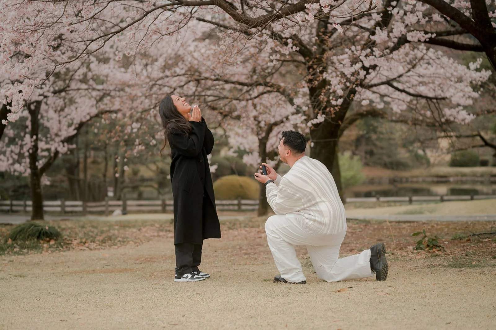 Surprise proposal photoshoot with cherry blossoms