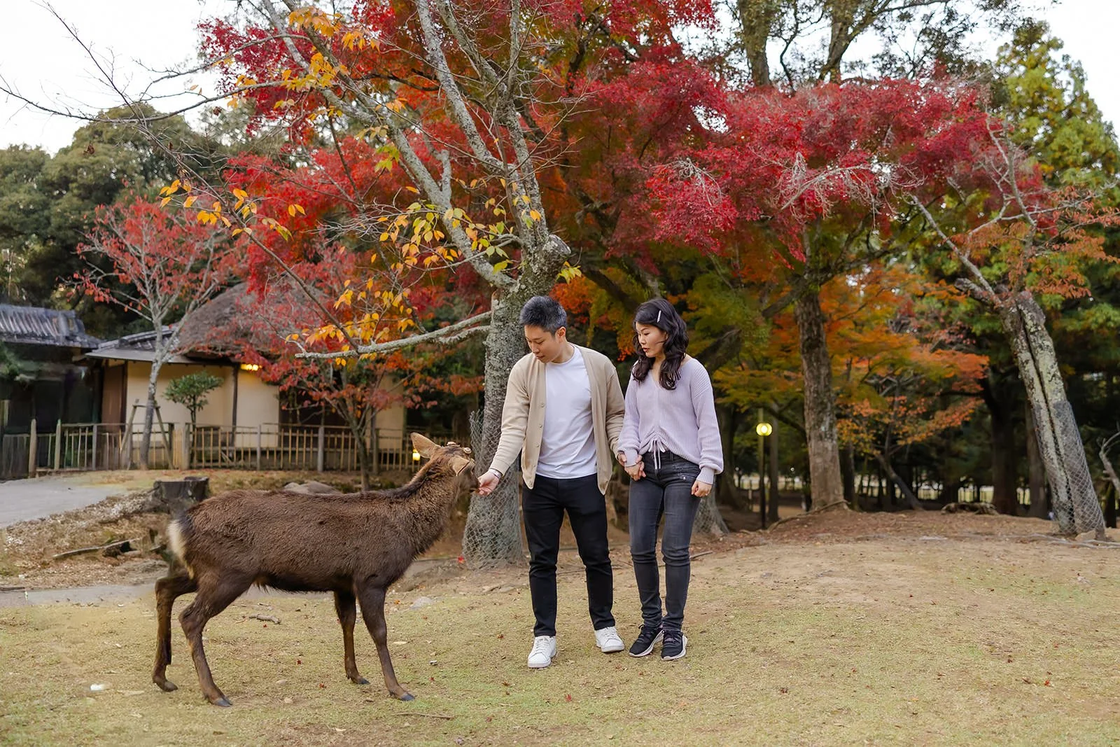 nara-park-couples-photoshoo-autumn (4).jpg