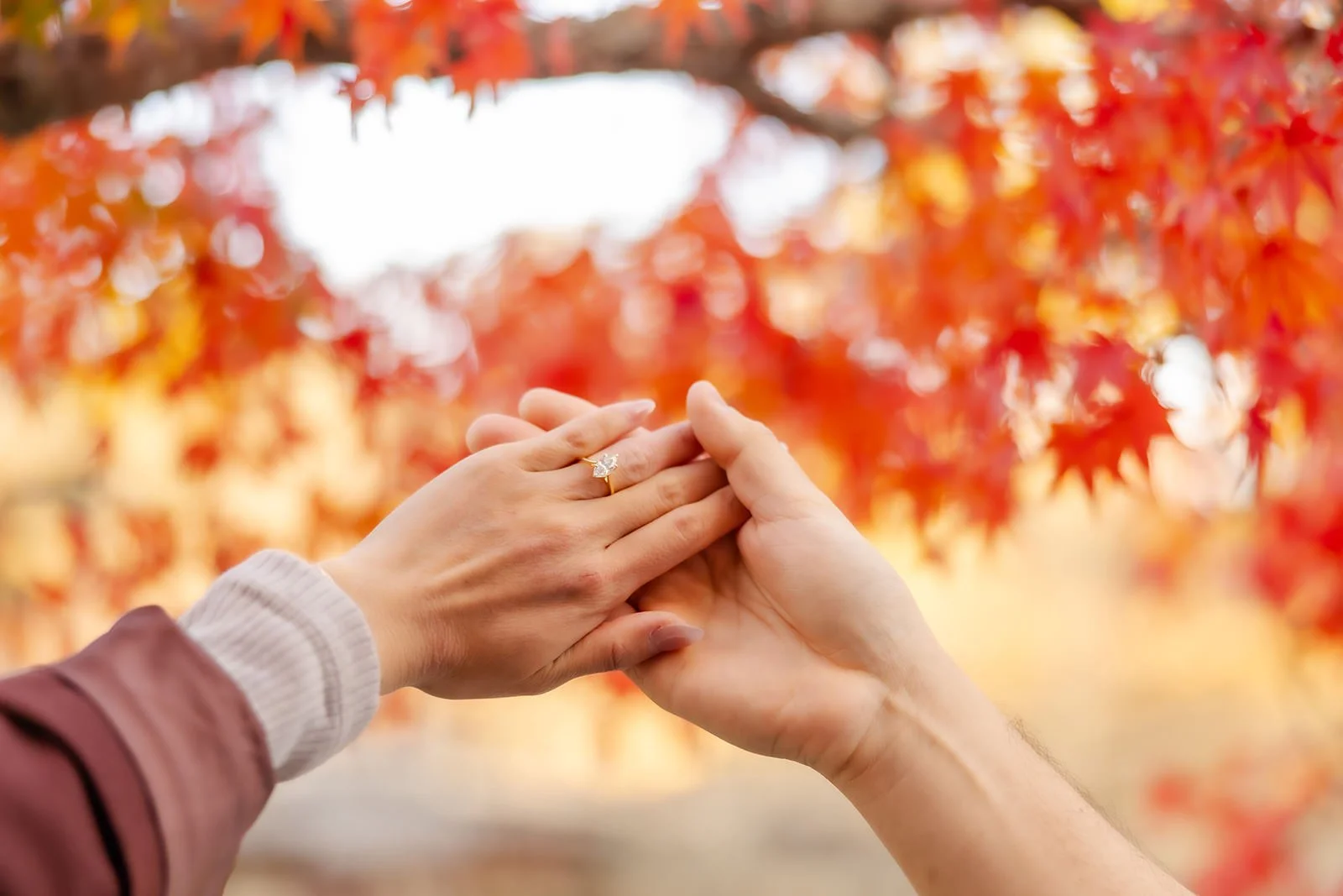 nara-park-couples-photoshoo-autumn (13).jpg
