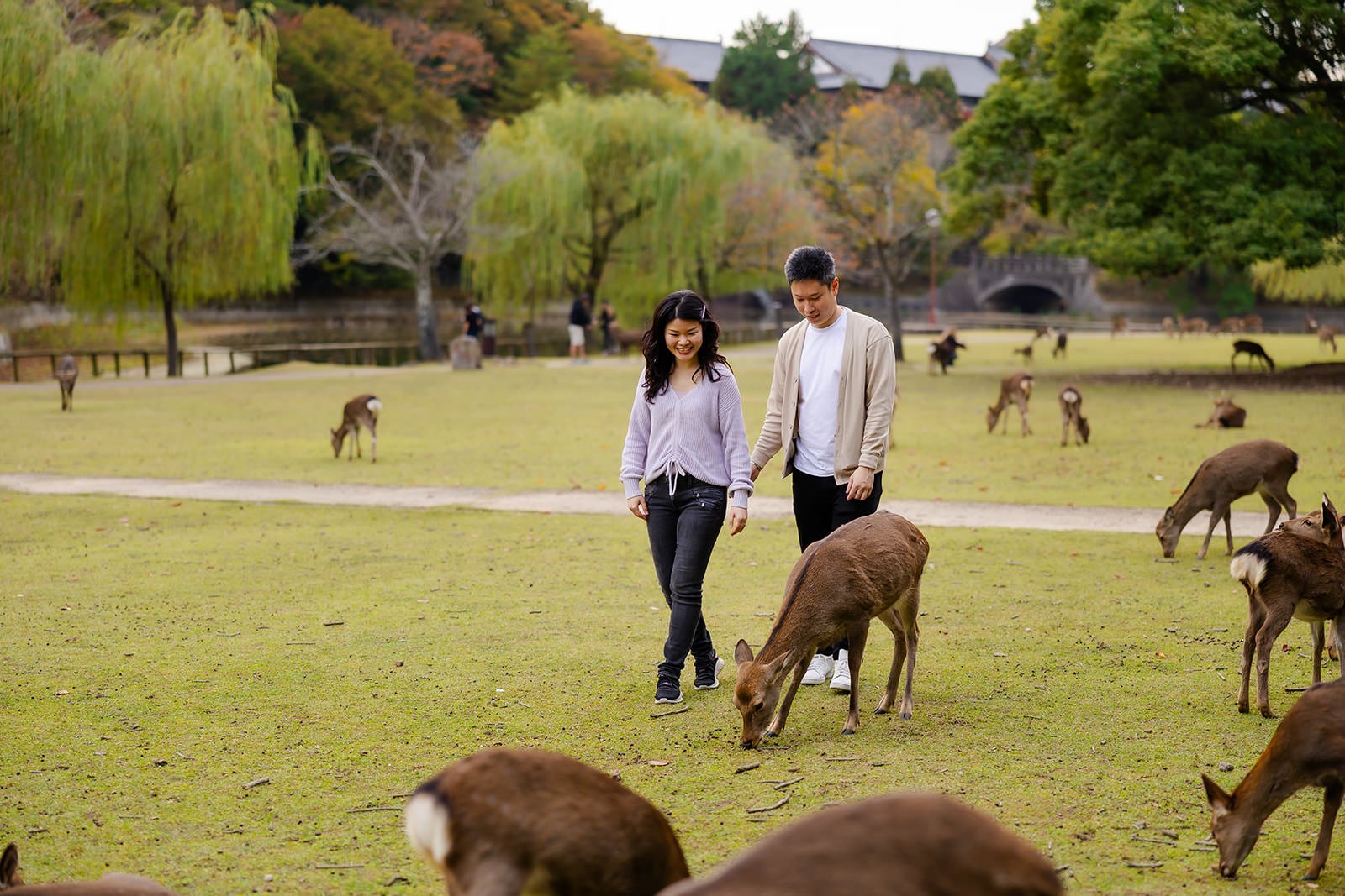 nara-park-couples-photoshoot (8).jpg