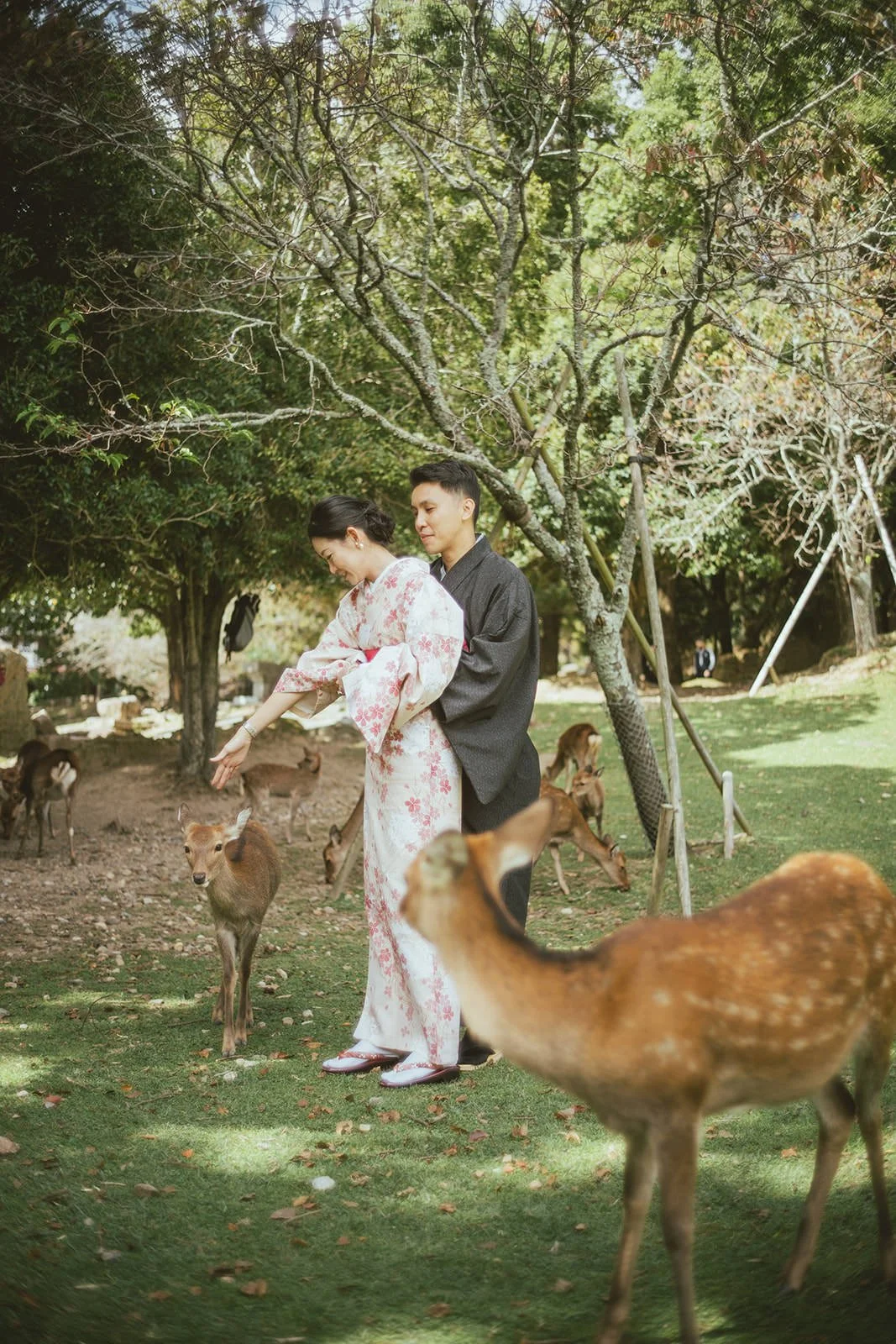 Kimono photography in Nara Park by Photo My Tokyo