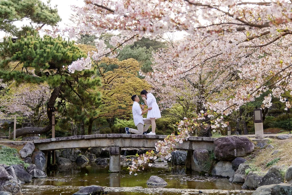Cherry blossom proposal photoshoot in Kyoto