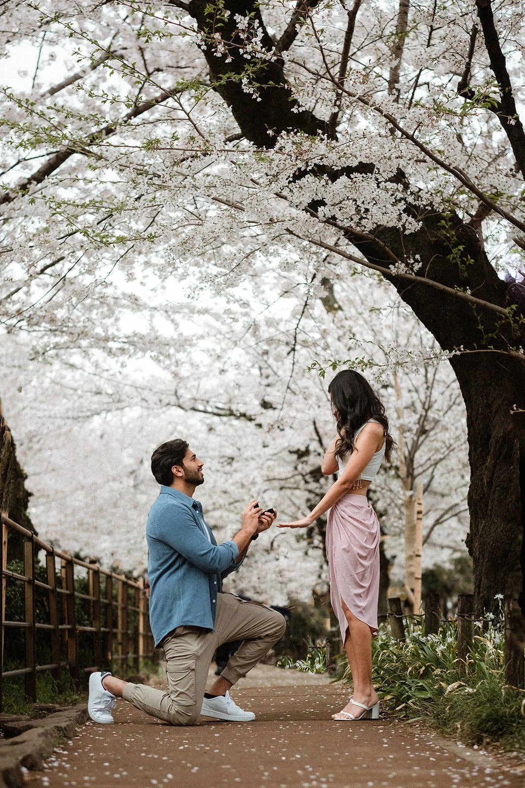 Cherry blossom proposal photoshoot in Tokyo