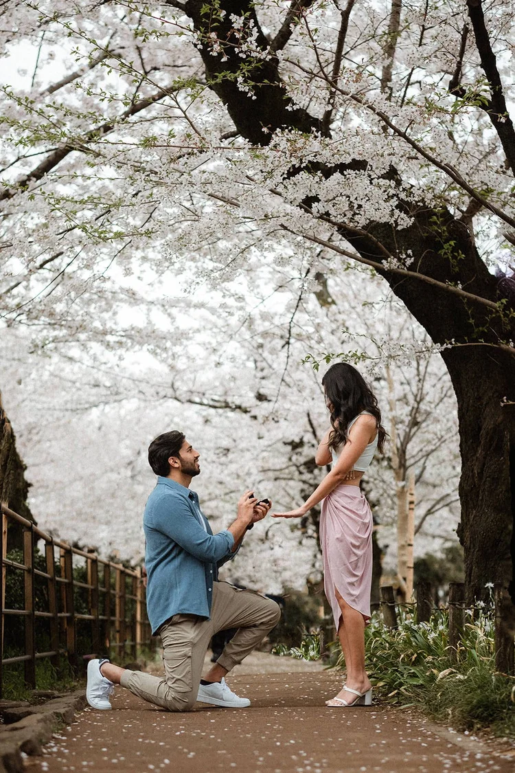 Cherry blossom proposal photoshoot in Tokyo