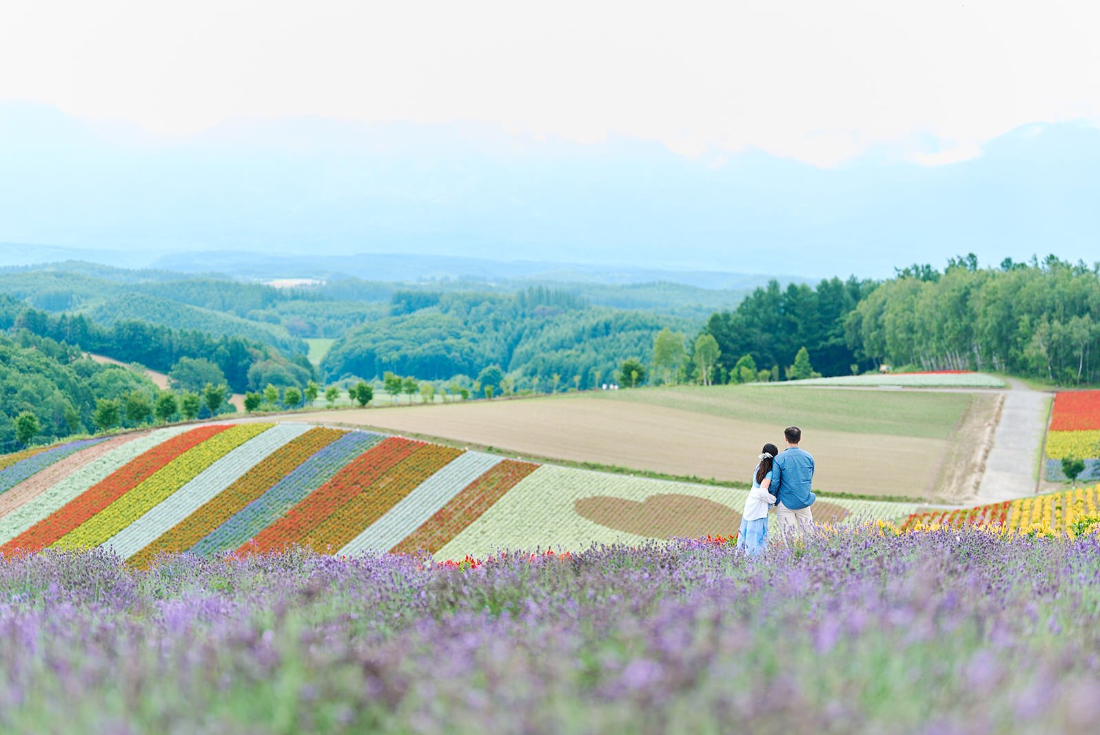 Proposal photoshoot at Shikisai-no Oka — summer flower field