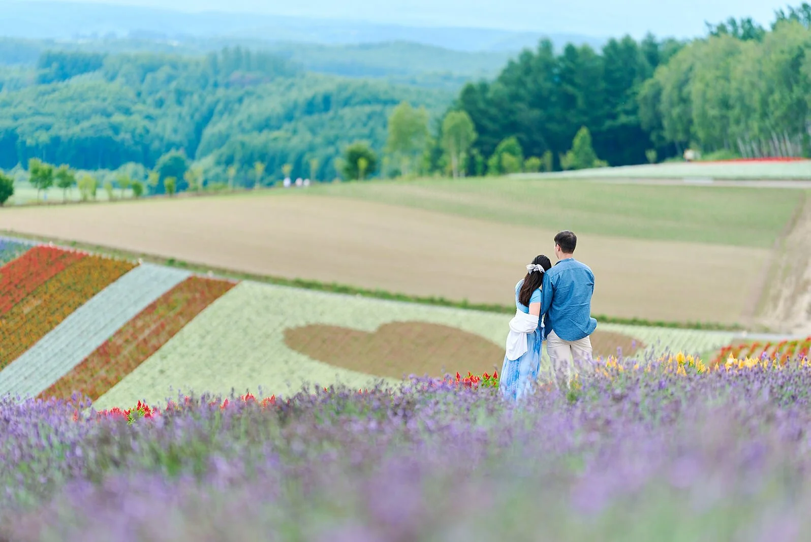 Proposal photoshoot at Shikisai-no Oka — summer flower field