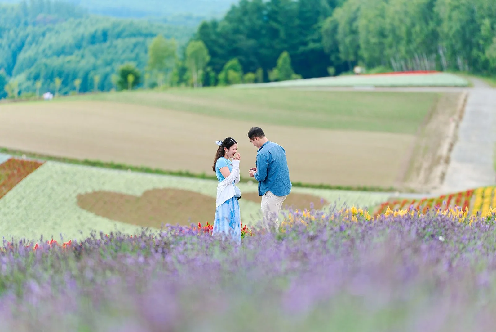 Proposal photoshoot at Shikisai-no Oka — summer flower field