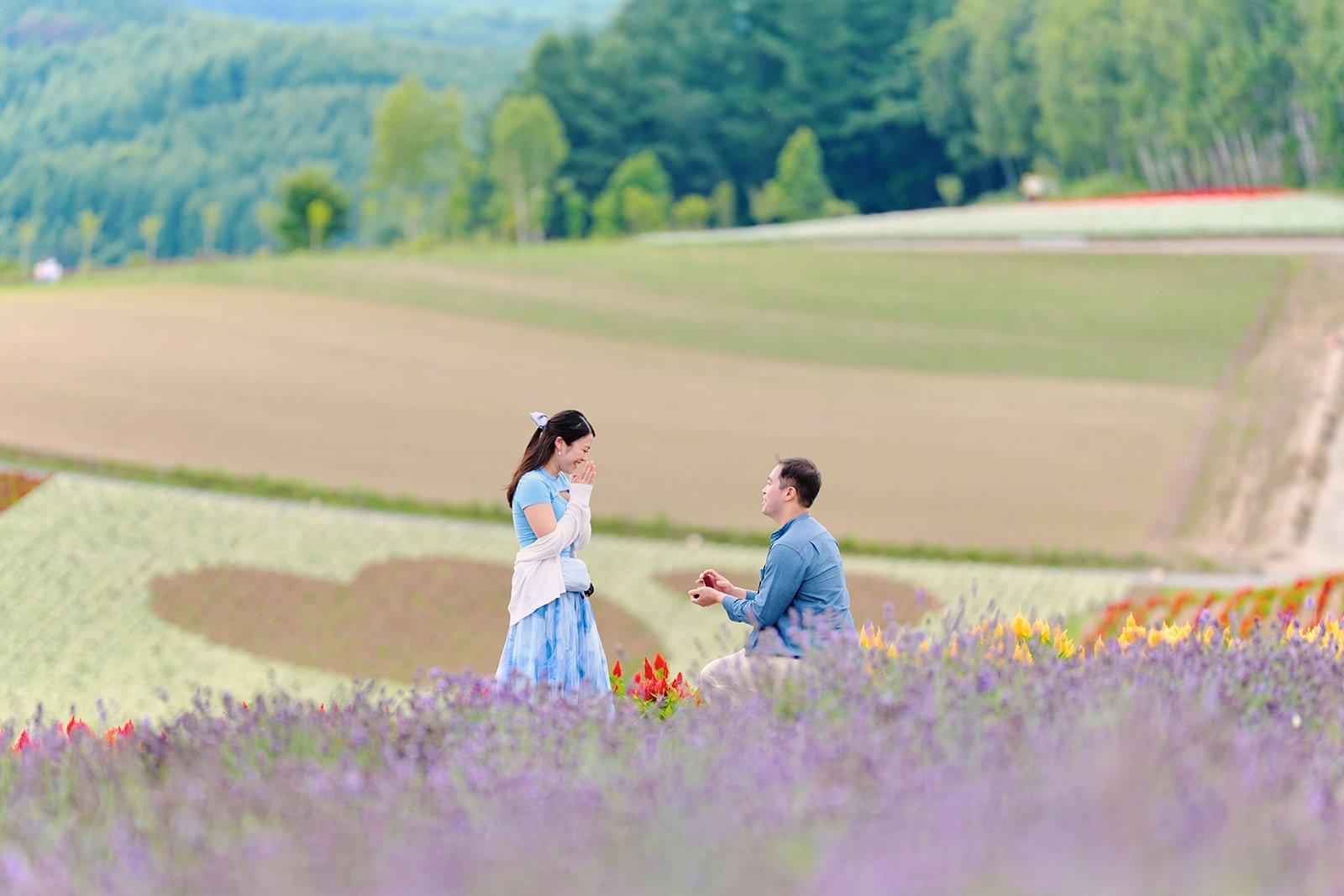 Proposal photoshoot at Shikisai-no Oka — summer flower field