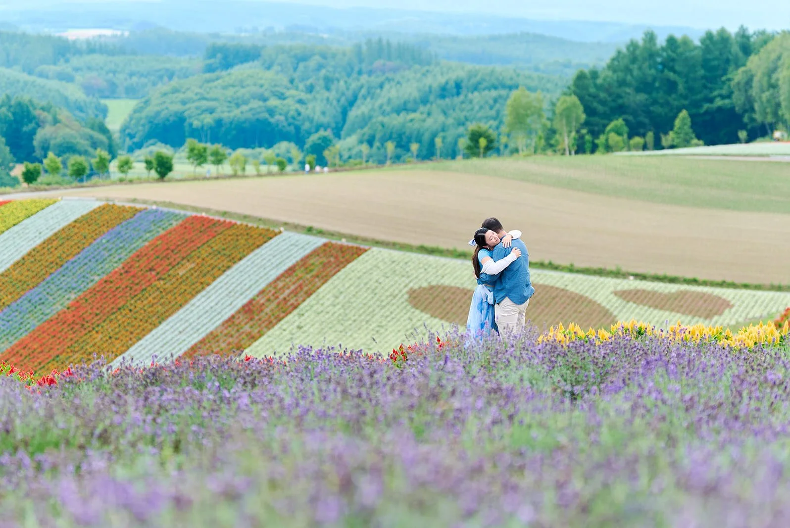 Proposal photoshoot at Shikisai-no Oka — summer flower field