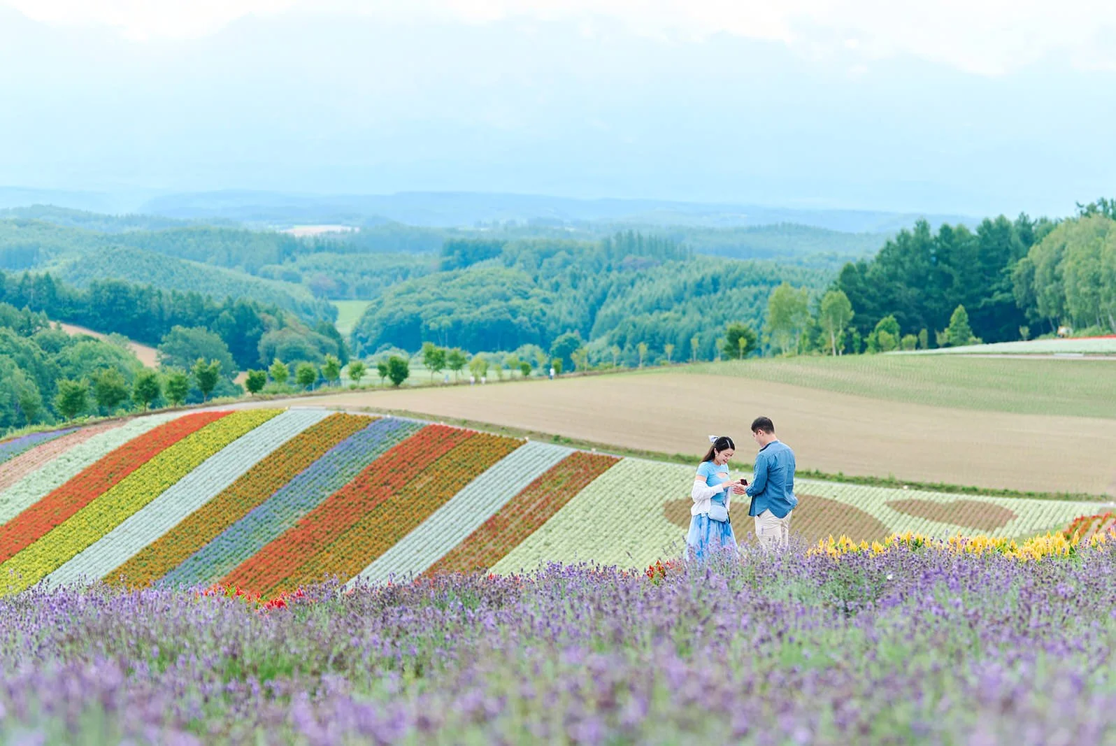 Proposal photoshoot at Shikisai-no Oka — summer flower field