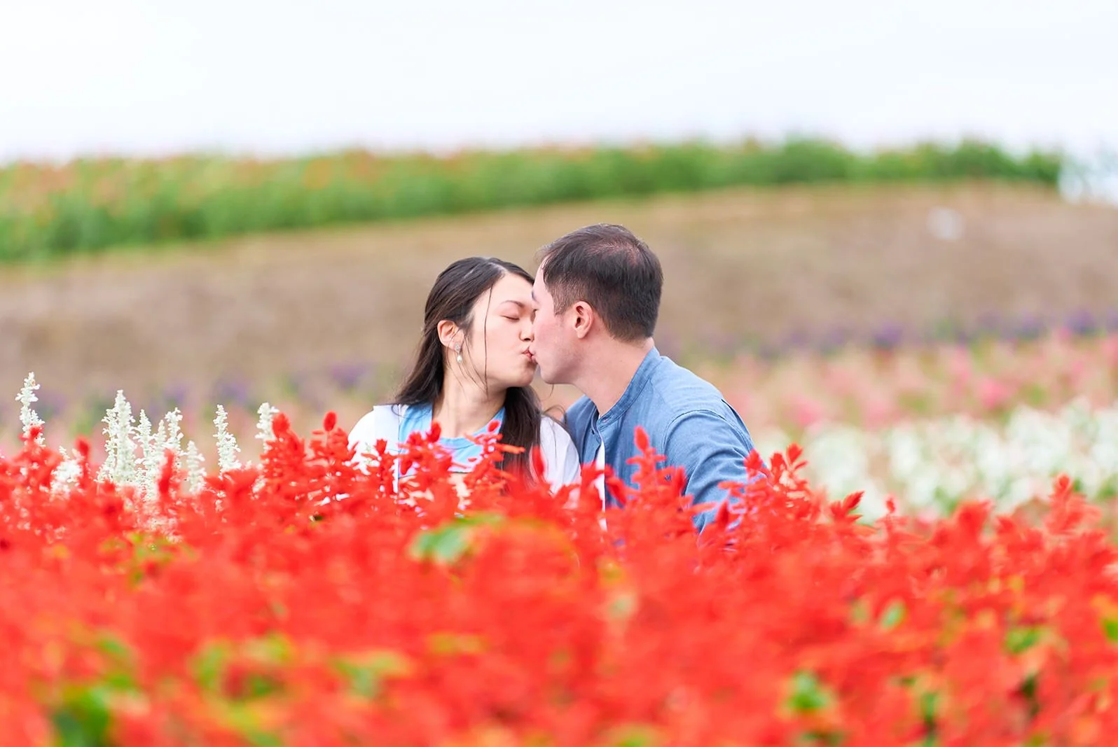 Proposal photoshoot at Shikisai-no Oka — summer flower field