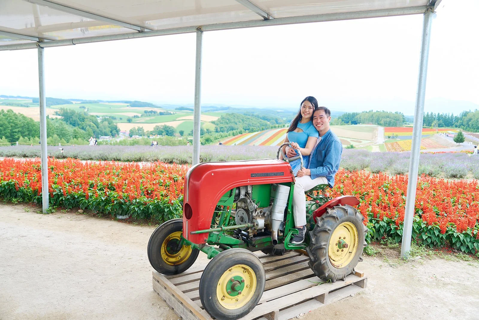 Proposal photoshoot at Shikisai-no Oka — summer flower field