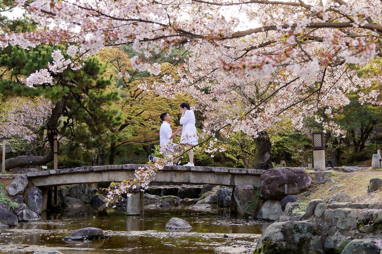 Proposal photoshoot at Maruyama Koen — cherry blossom