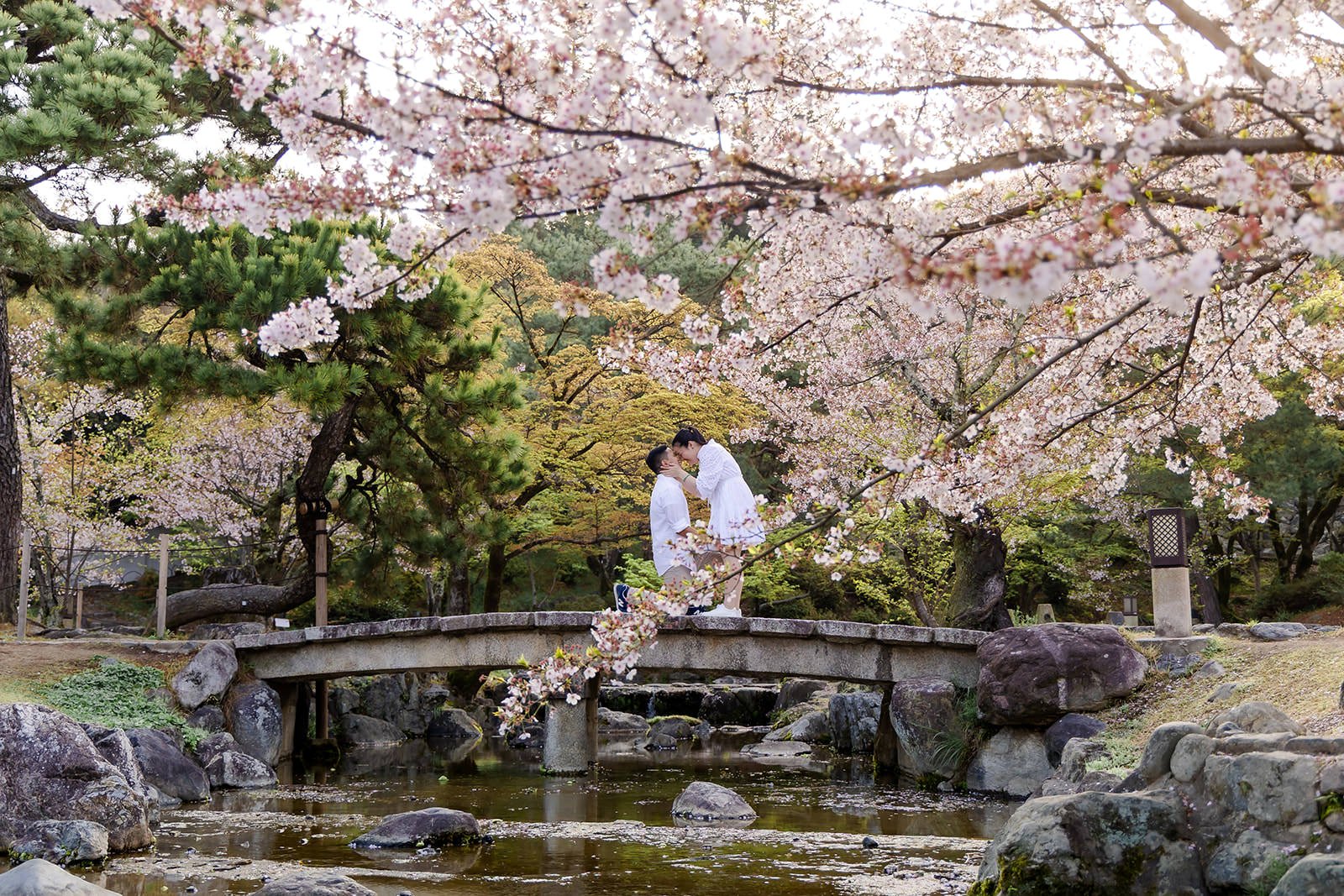 Proposal photoshoot at Maruyama Koen — cherry blossom