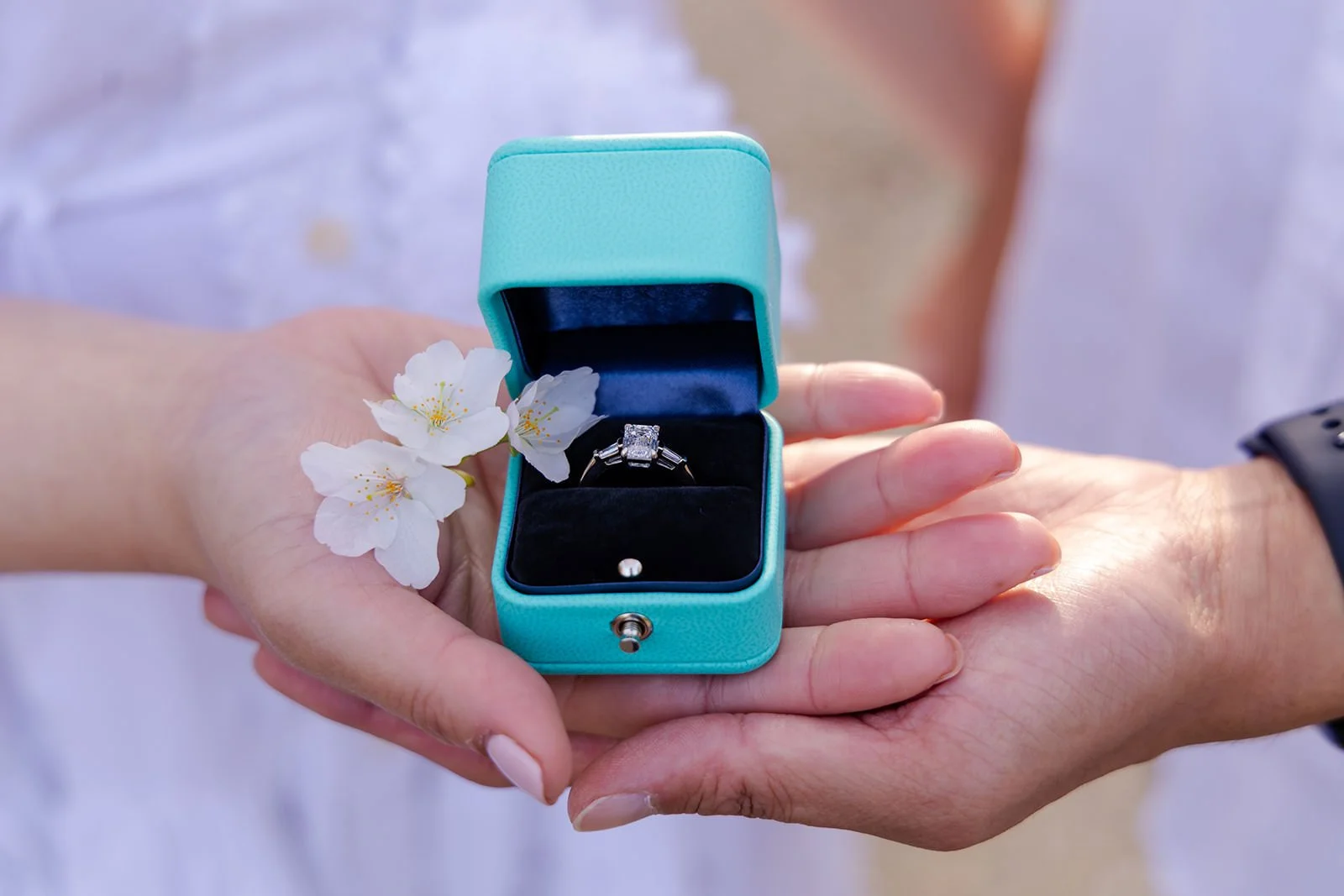 Proposal photoshoot at Maruyama Koen — cherry blossom
