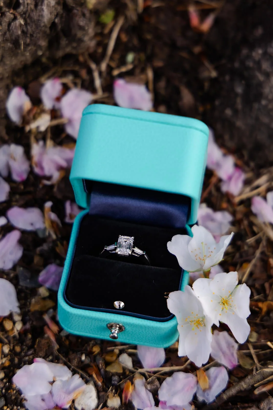 Proposal photoshoot at Maruyama Koen — cherry blossom