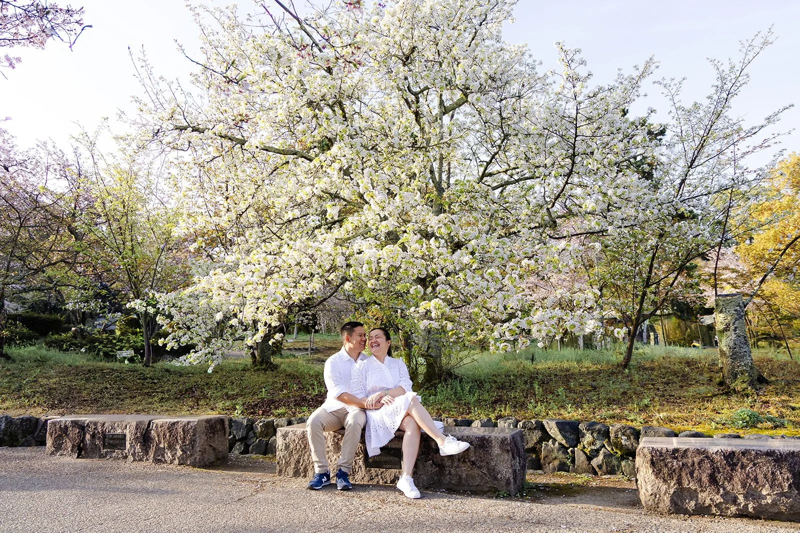 Proposal photoshoot at Maruyama Koen — cherry blossom