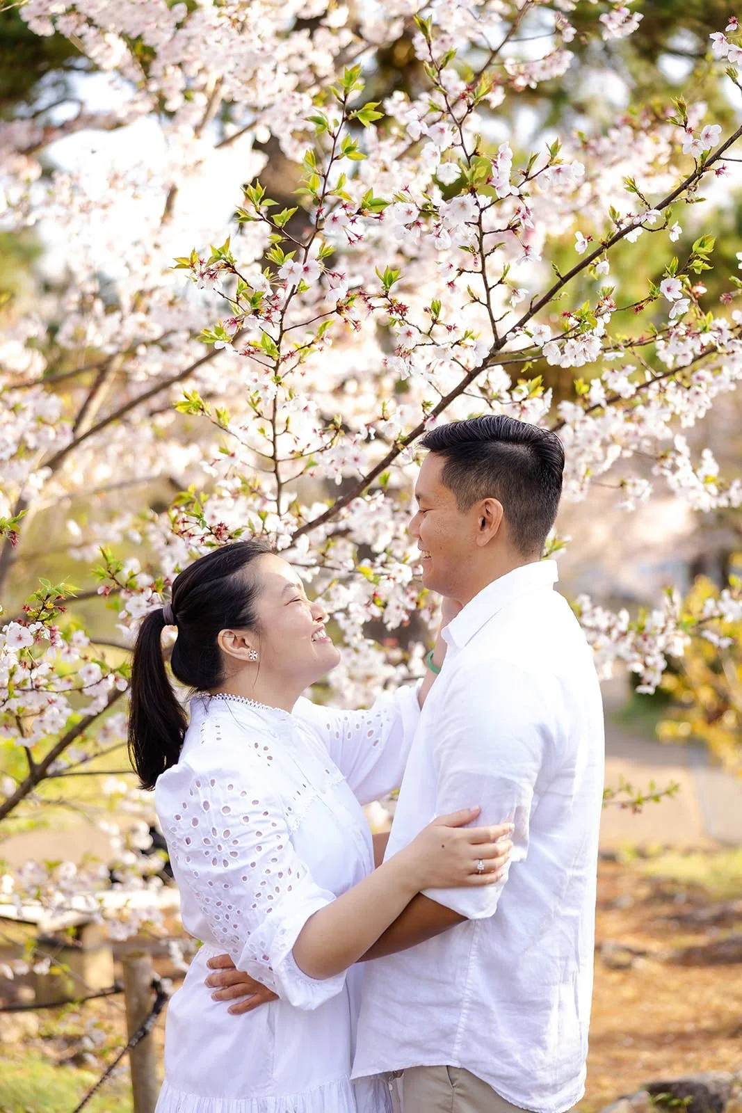 Proposal photoshoot at Maruyama Koen — cherry blossom