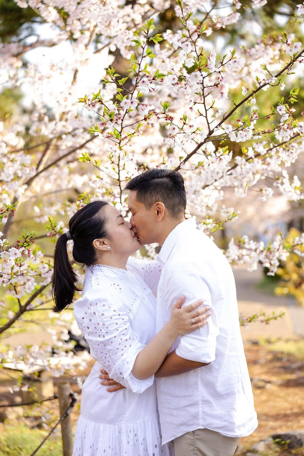 Proposal photoshoot at Maruyama Koen — cherry blossom