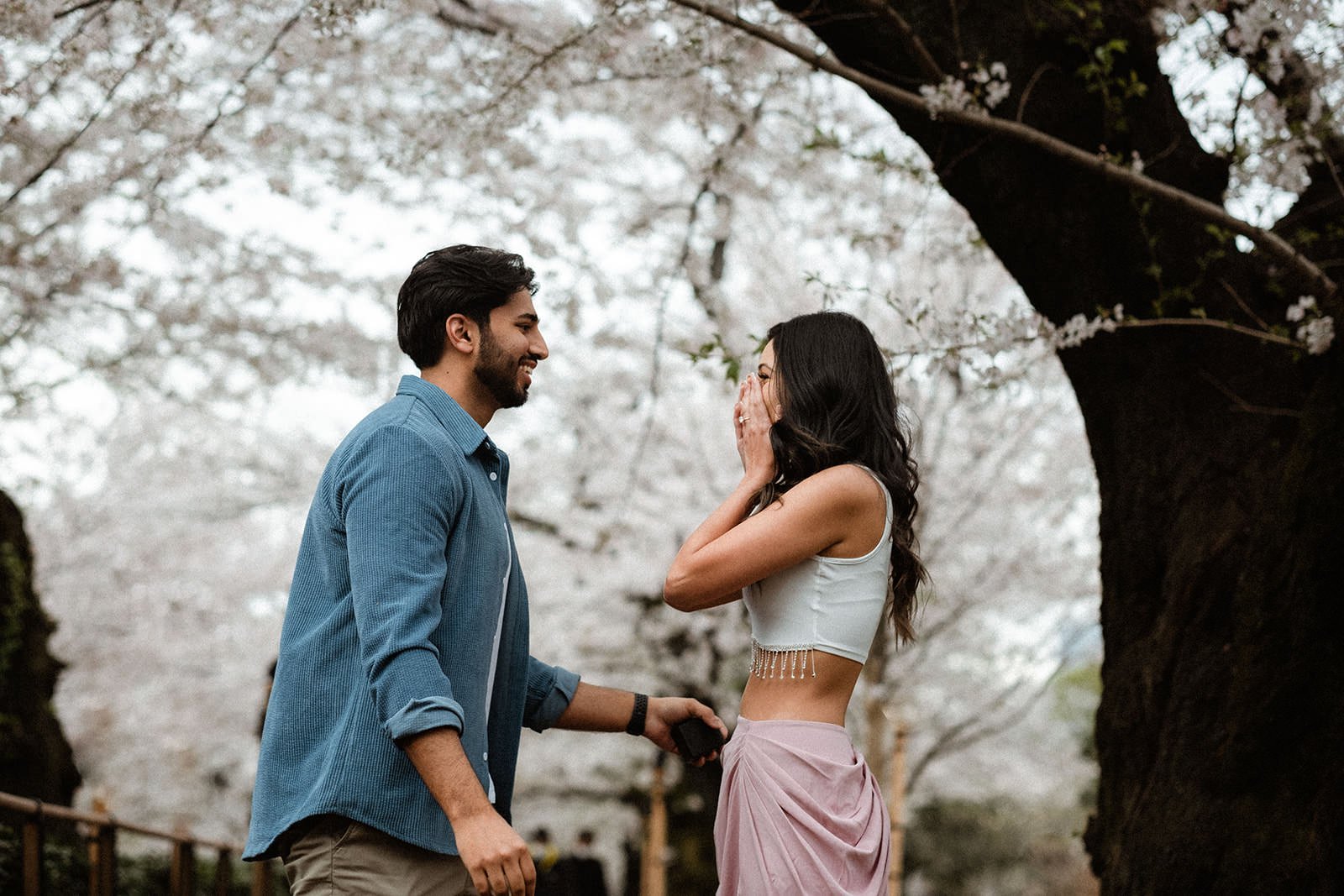 Proposal photoshoot at Chidorigafuchi — cherry blossom