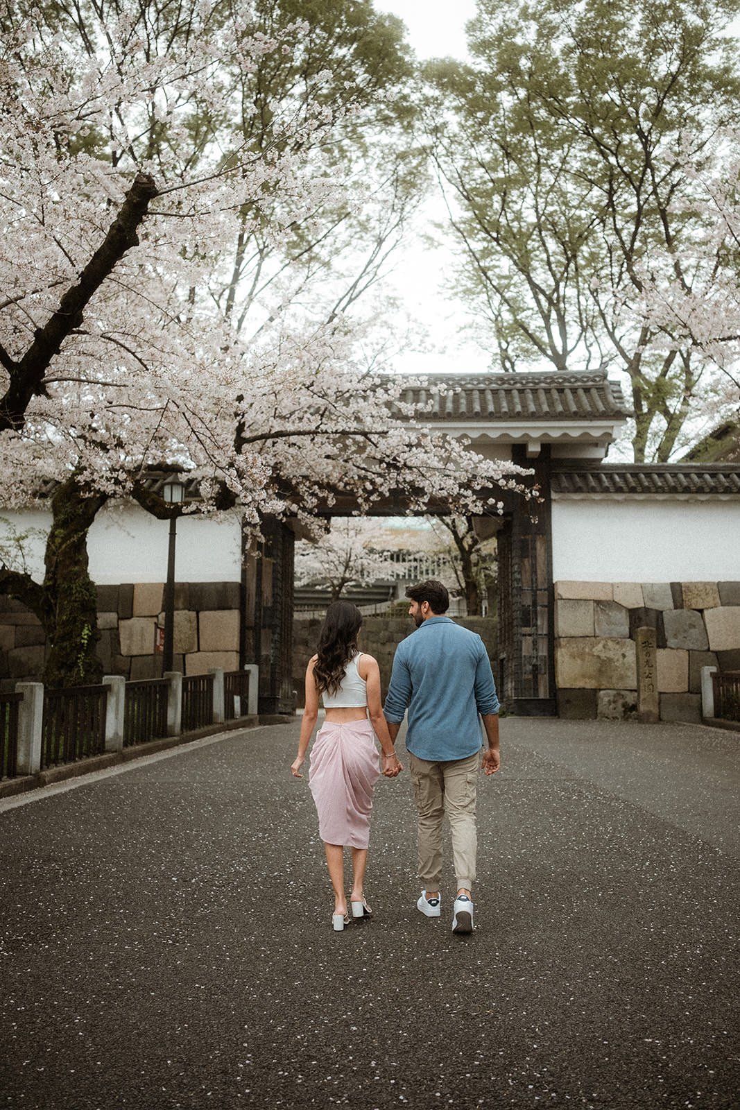 Proposal photoshoot at Chidorigafuchi — cherry blossom