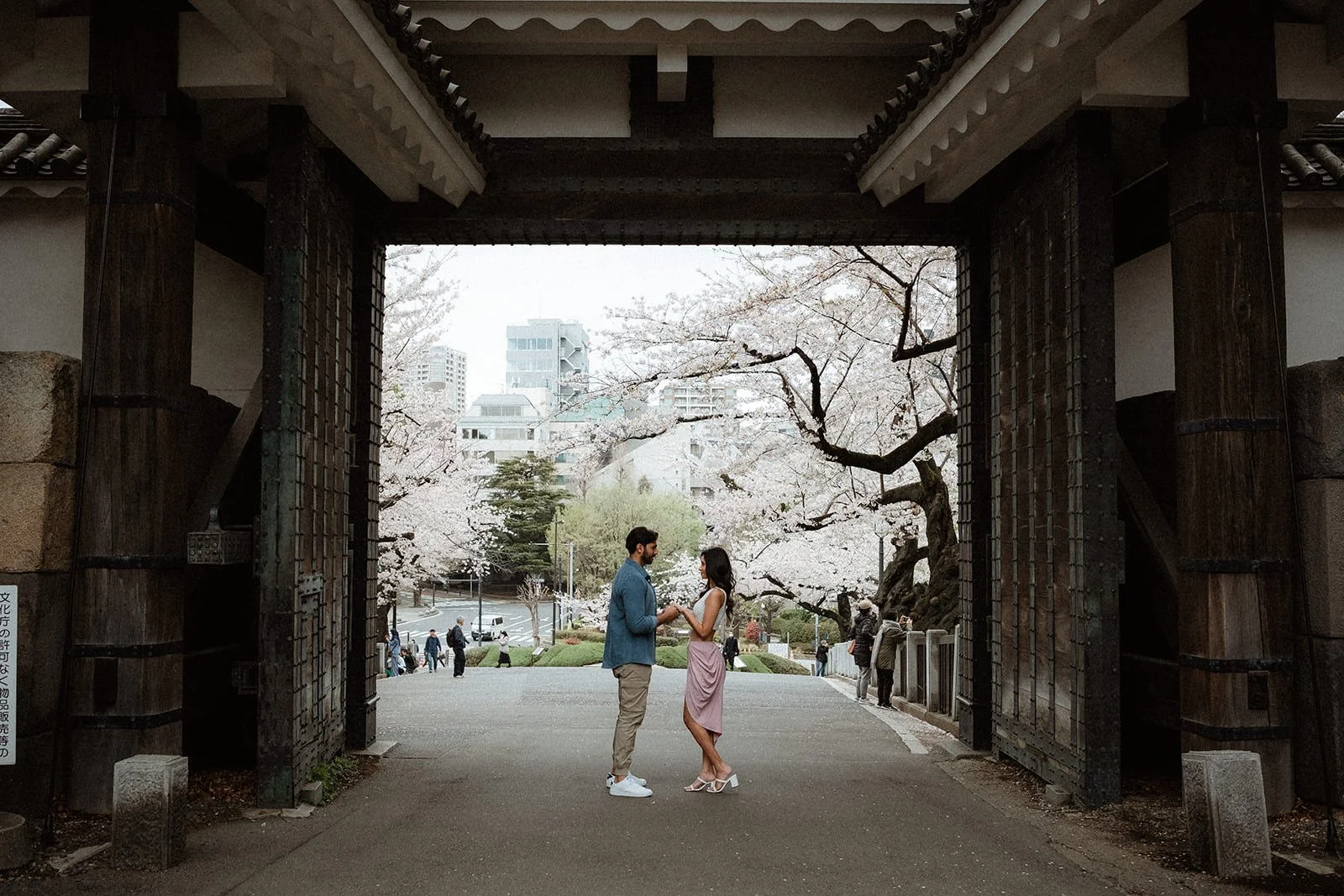 Proposal photoshoot at Chidorigafuchi — cherry blossom