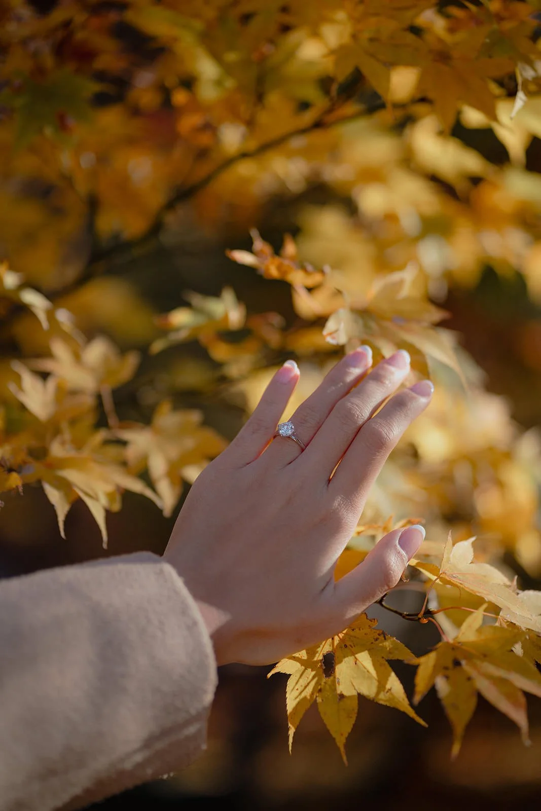 Proposal photoshoot at Lake Kawaguchiko — autumn