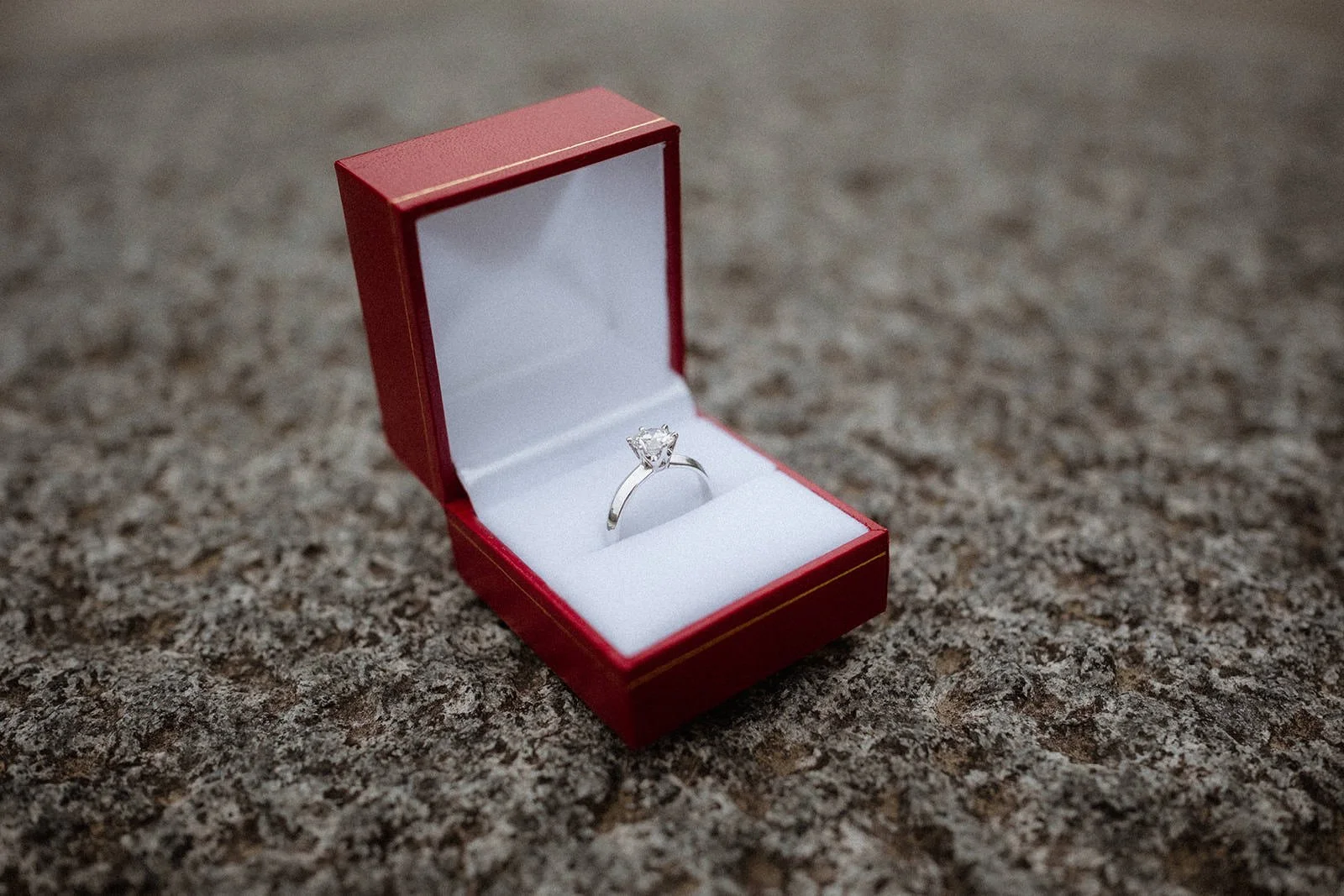Proposal photoshoot at Imperial Palace