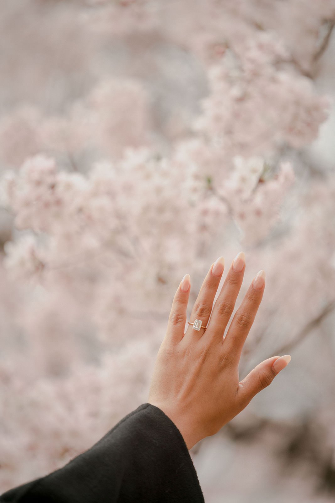 Proposal photoshoot at Shinjuku Gyoen — cherry blossom