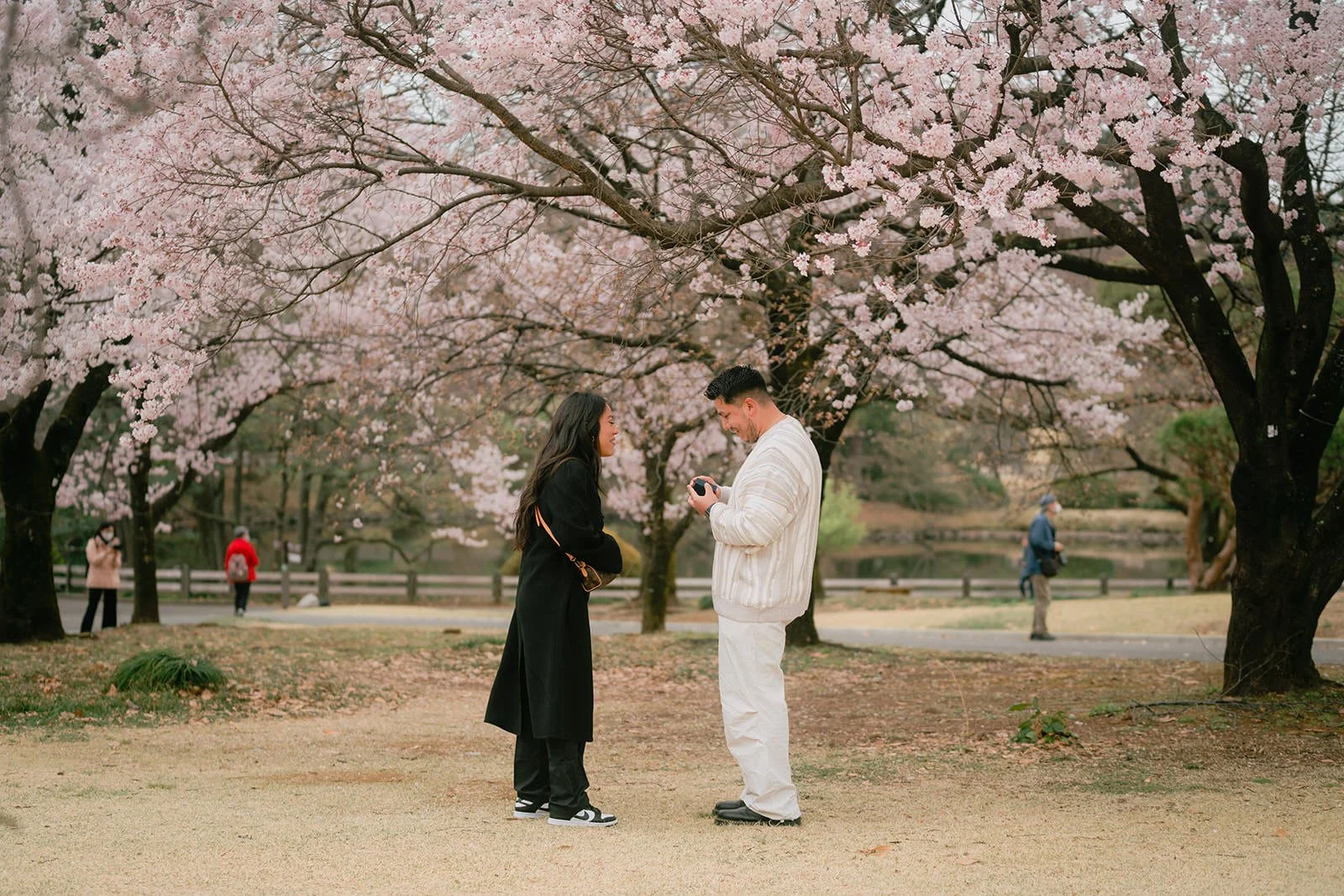 Proposal photoshoot at Shinjuku Gyoen — cherry blossom