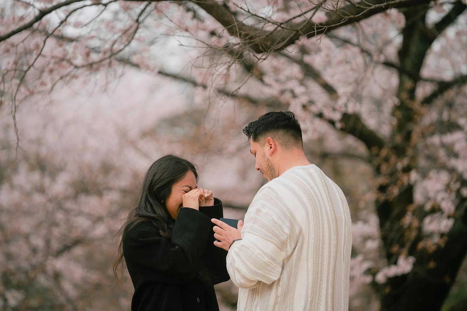 Proposal photoshoot at Shinjuku Gyoen — cherry blossom