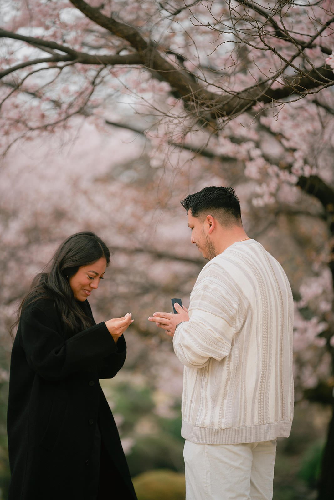Proposal photoshoot at Shinjuku Gyoen — cherry blossom