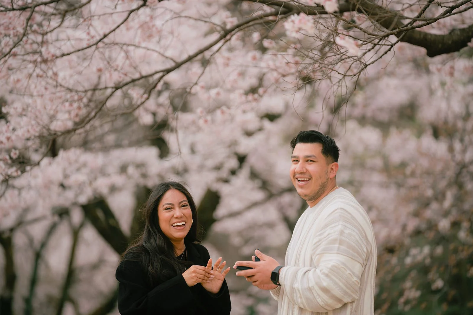 Proposal photoshoot at Shinjuku Gyoen — cherry blossom