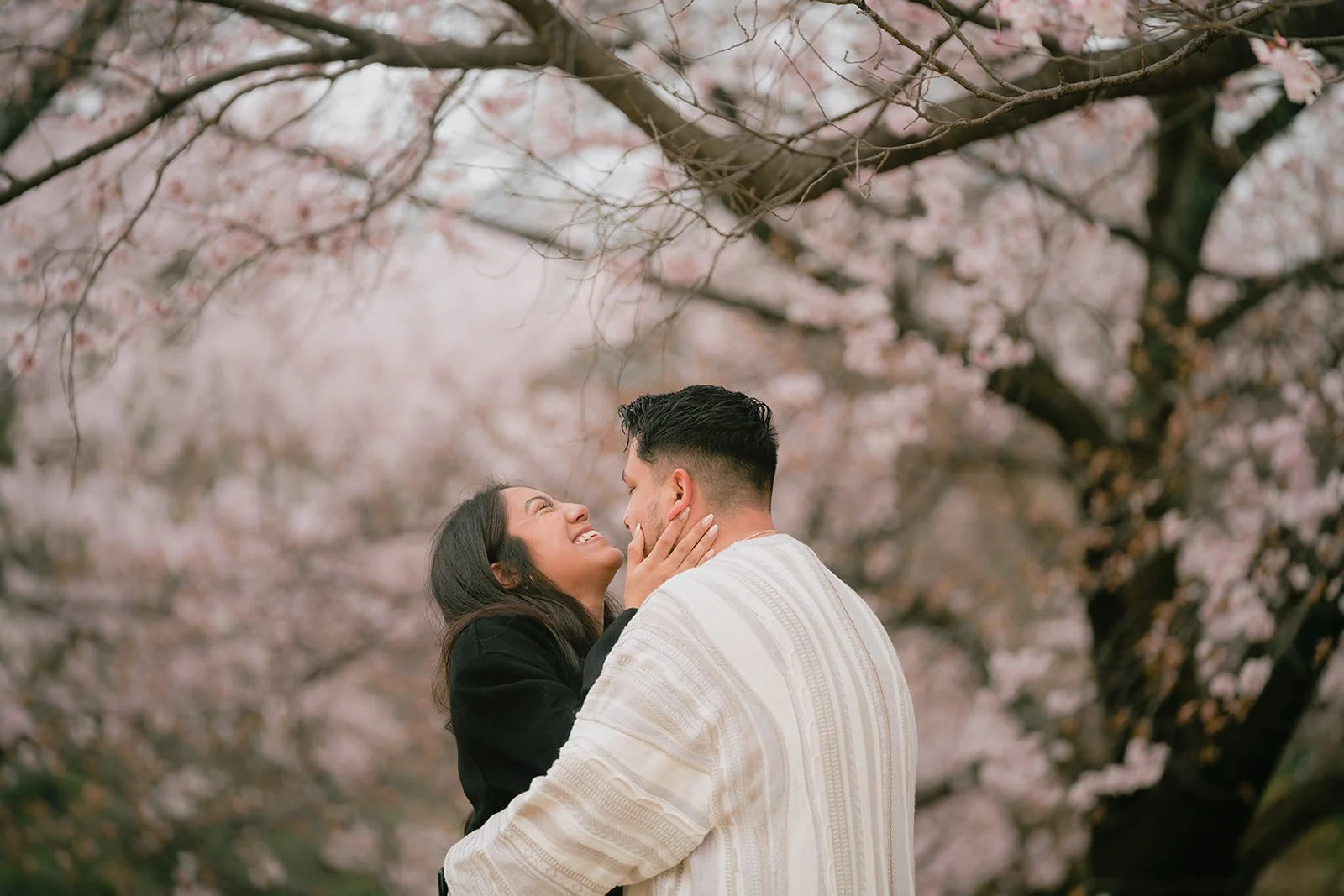 Proposal photoshoot at Shinjuku Gyoen — cherry blossom