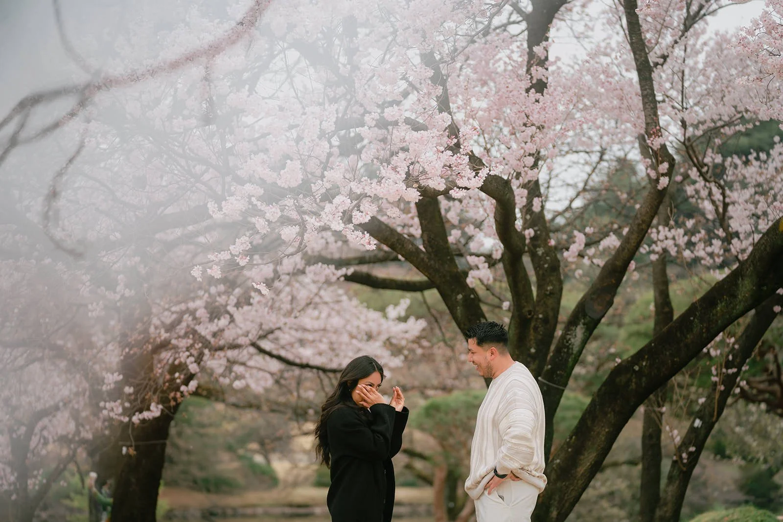Proposal photoshoot at Shinjuku Gyoen — cherry blossom