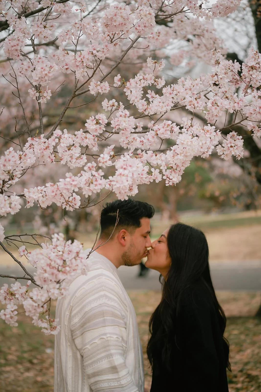 Proposal photoshoot at Shinjuku Gyoen — cherry blossom