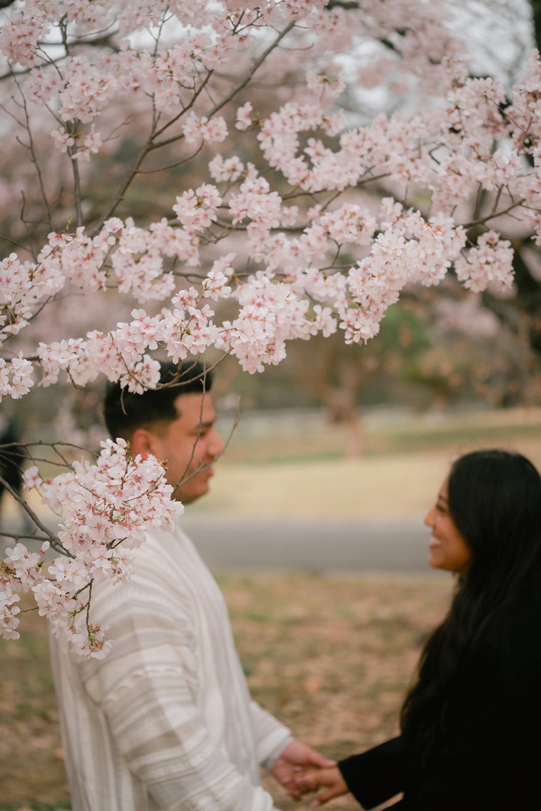 Proposal photoshoot at Shinjuku Gyoen — cherry blossom