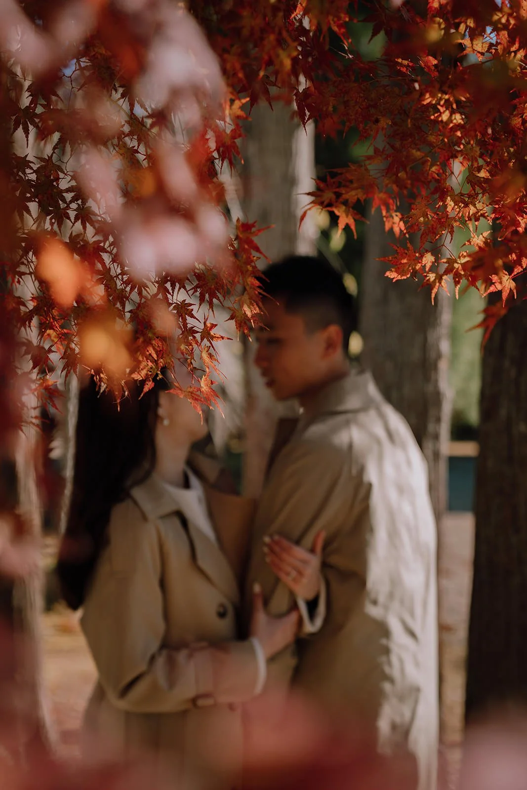 Proposal photoshoot at Daigo-ji — autumn