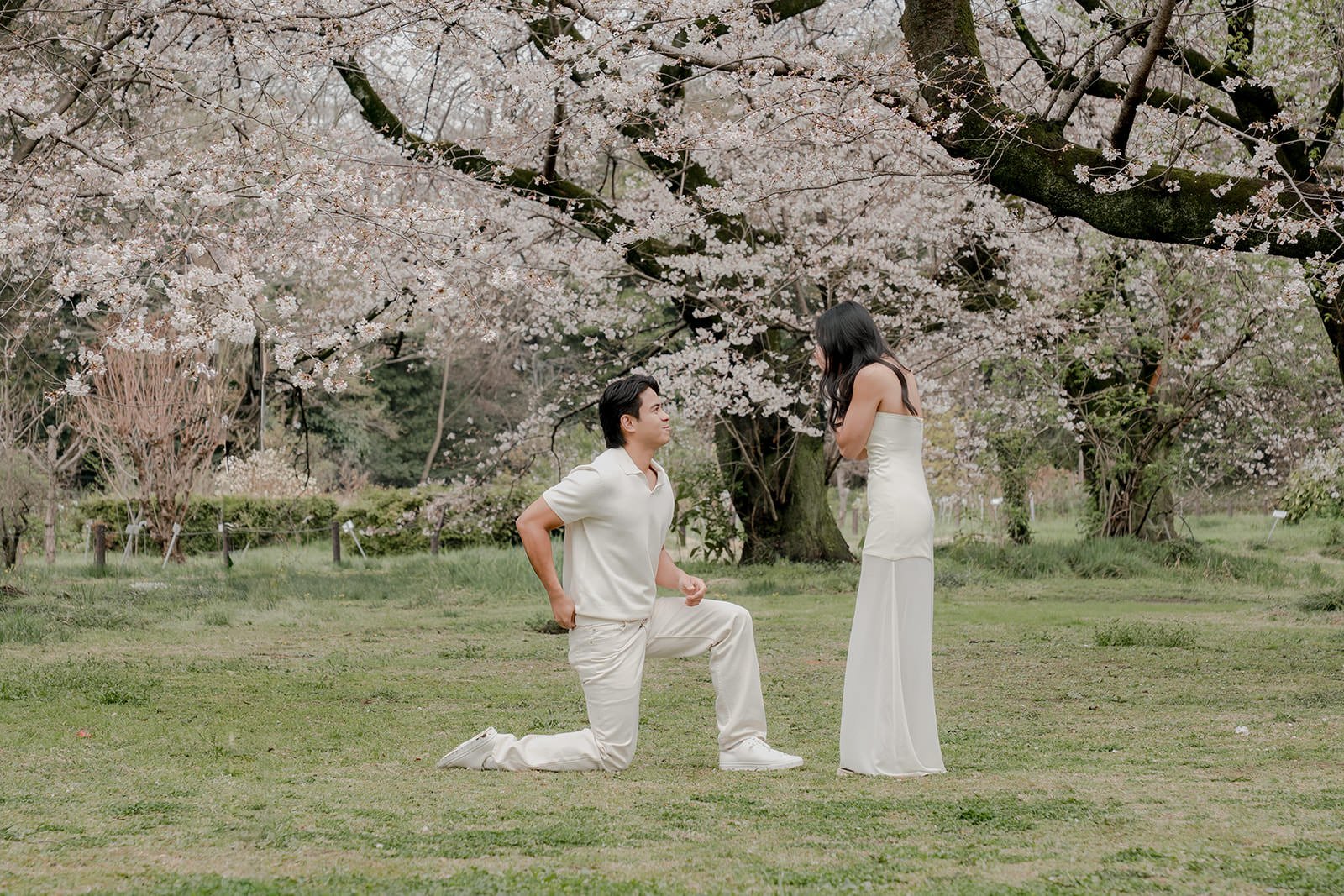Proposal moment cherry blossom garden Tokyo