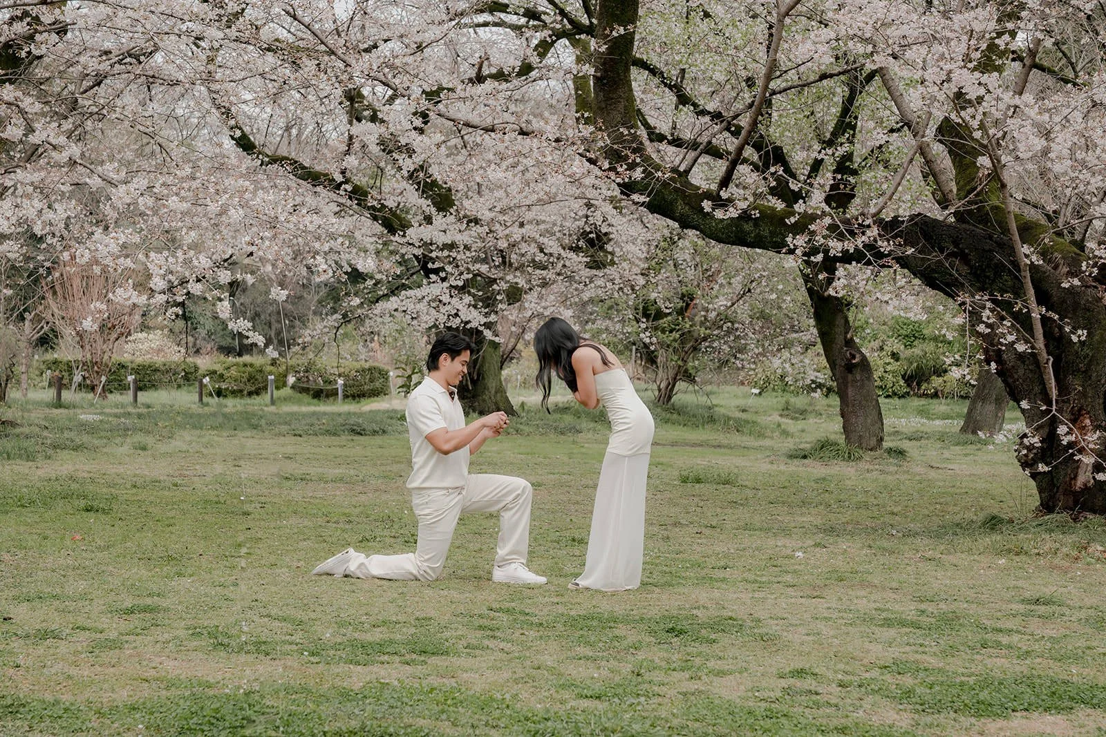 Spring proposal photography Tokyo garden
