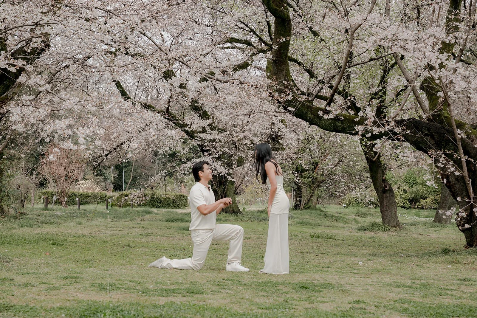 Couple portrait cherry blossoms Tokyo