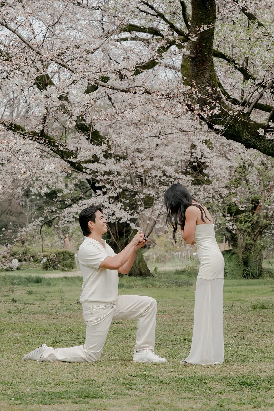 Couple after proposal cherry blossom garden