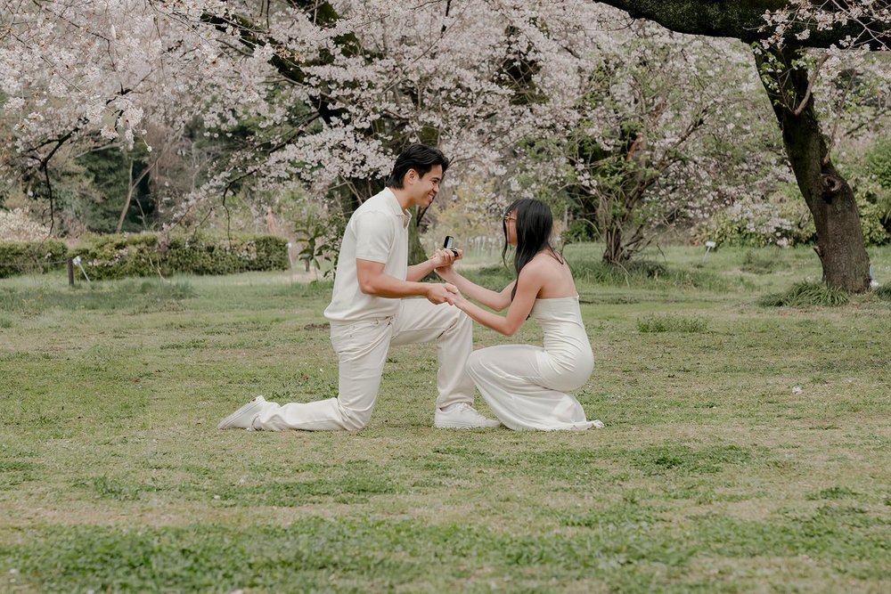 Surprise proposal under cherry blossoms, Tokyo spring