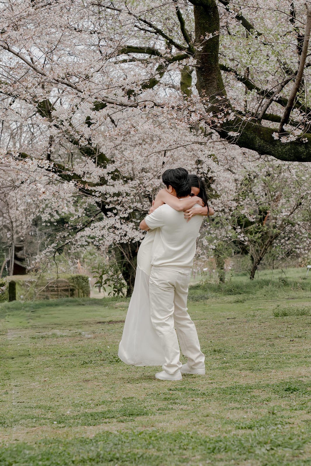 Proposal photography Tokyo spring blossoms