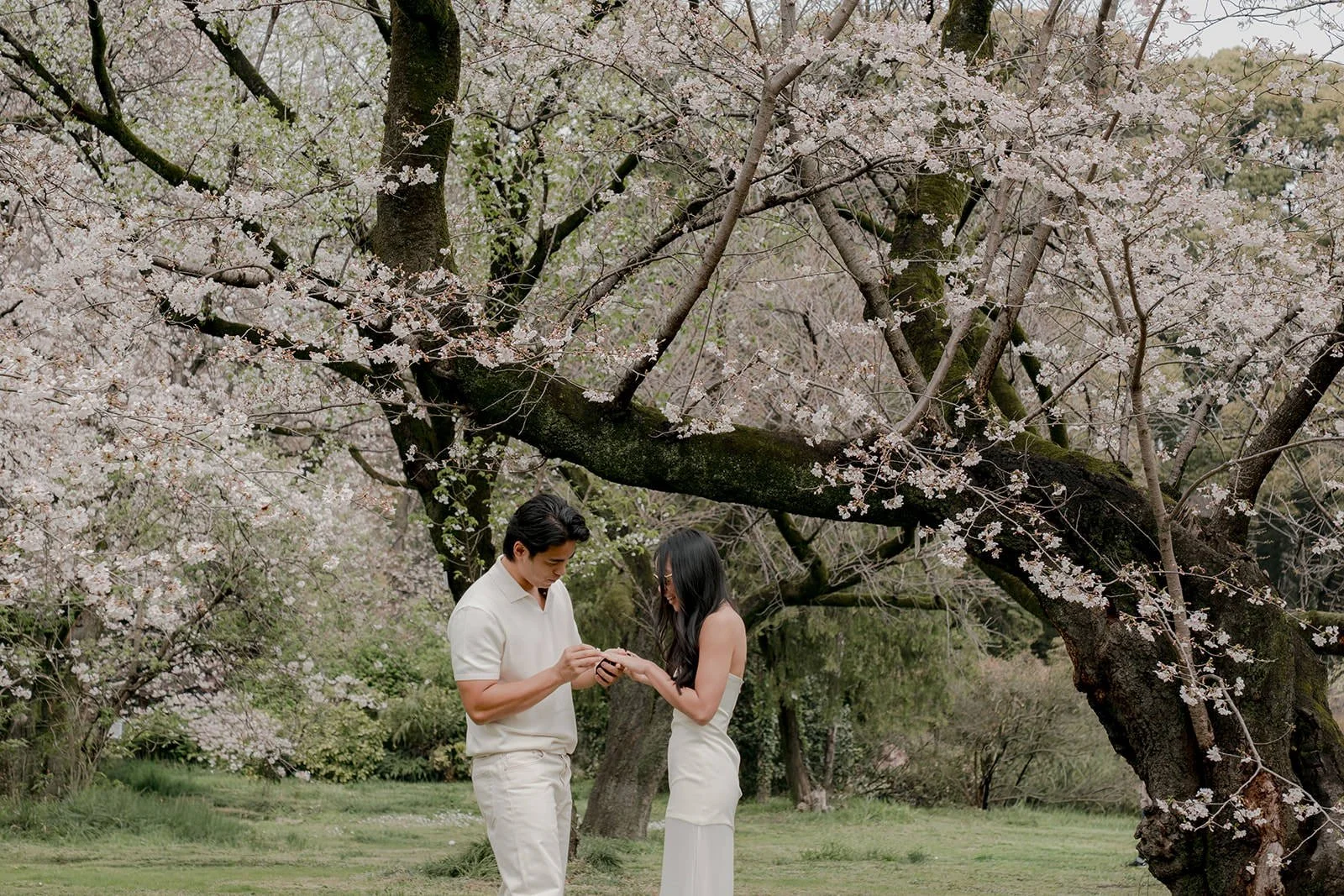 Engaged couple cherry blossom Tokyo portrait