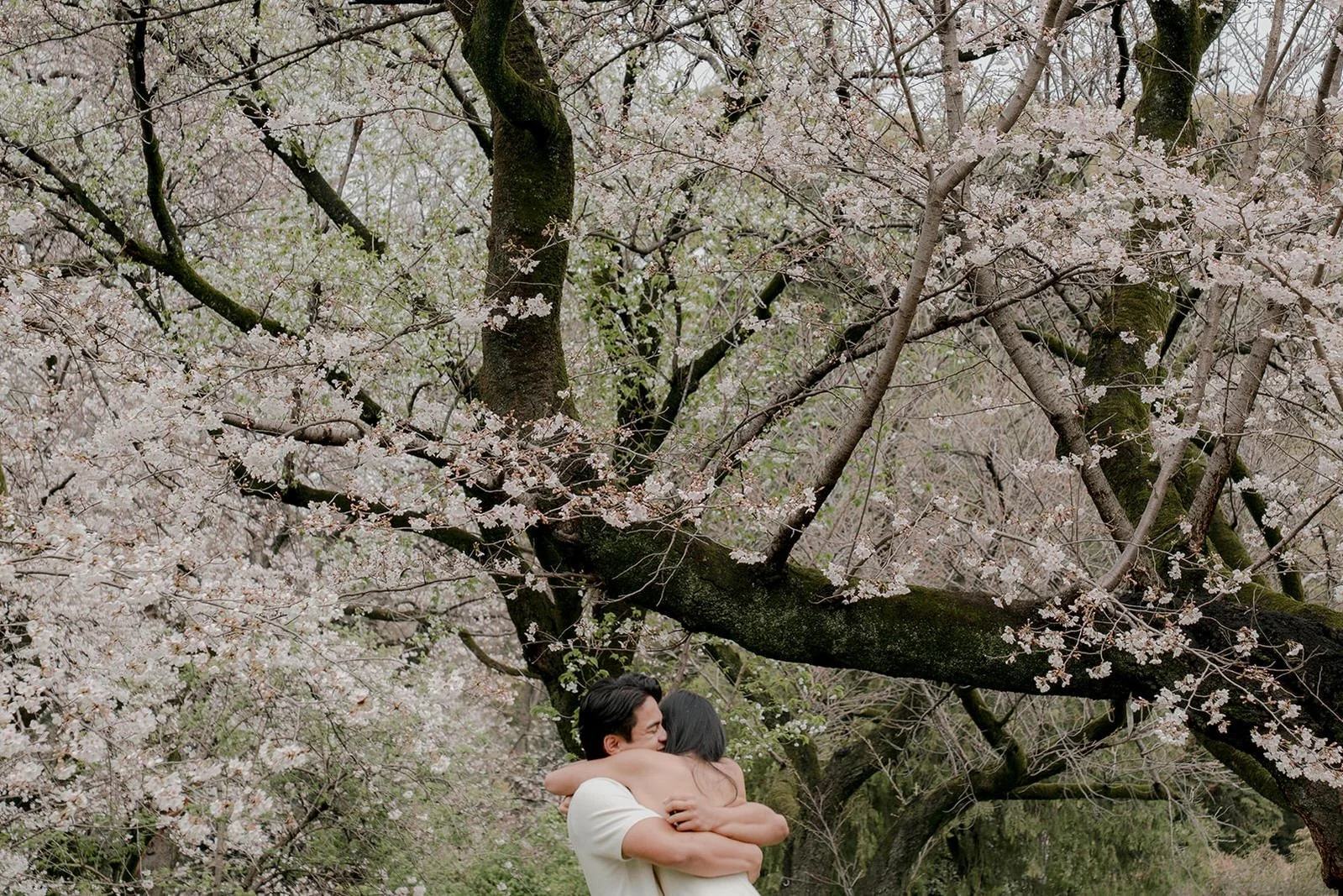 Spring morning proposal shoot Tokyo